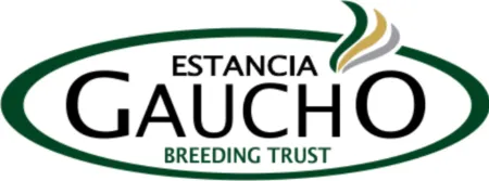 Gaúcho
